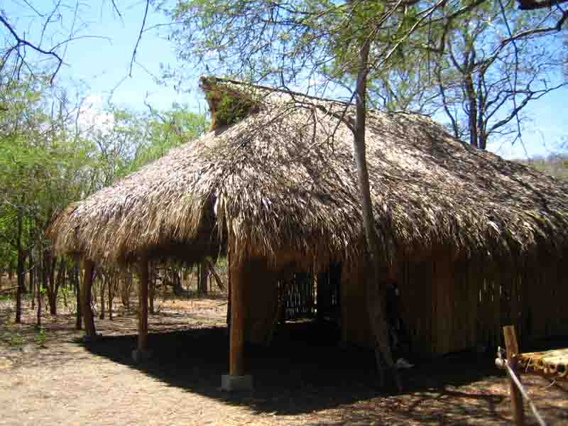 Palapa7